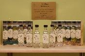 The Olive Vineyard